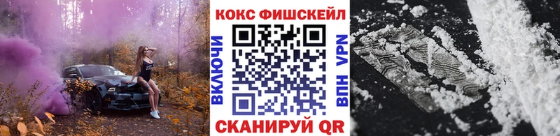 COCAIN Fish Scale  Купить где  Боровичи 