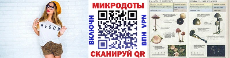 Купить  Боровичи  Галлюциногенные грибы GOLDEN TEACHER 